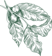 best garland decoration in Thanjavur